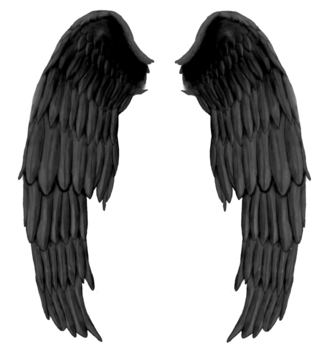 If you could have a physical feature like wings, horns, a tail, ect., what would you have?