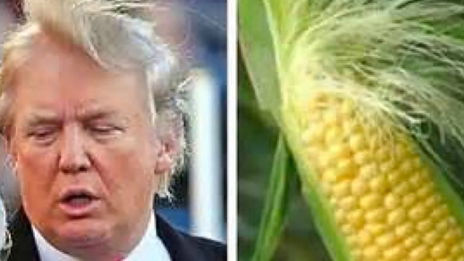 Who wore it better?