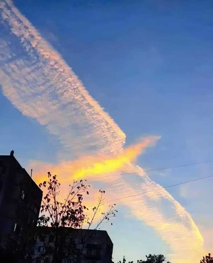 What would you do if you went outside and saw this?