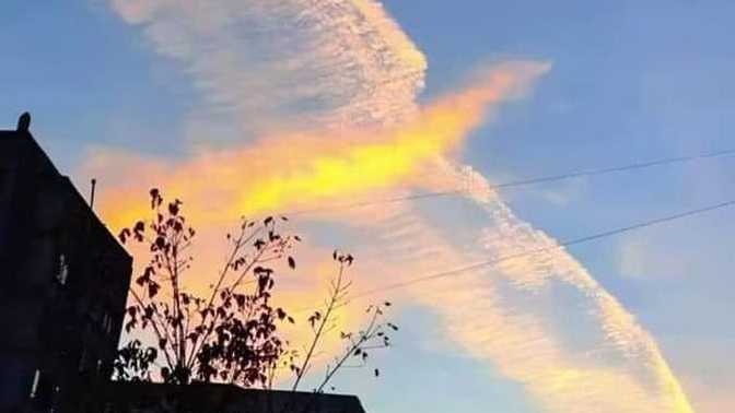 What would you do if you went outside and saw this?