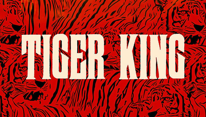 What are you thoughts on tiger king?