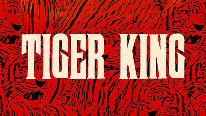What are you thoughts on tiger king?
