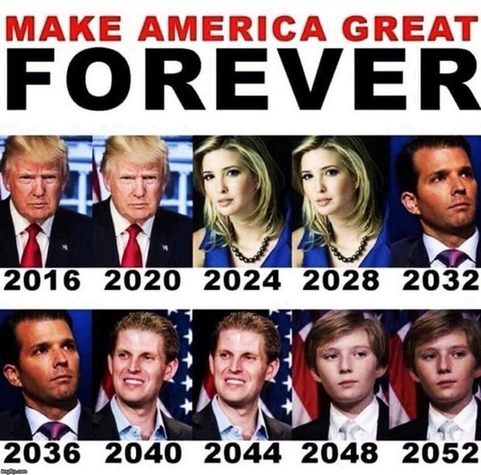 So the former twice impeached false idol wants another crack at the job he failed to get reelected to Would you vote for him again?