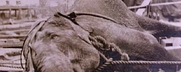 Is there any scientist that interests you from history?