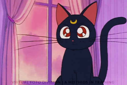 Why are cats such cute characters?