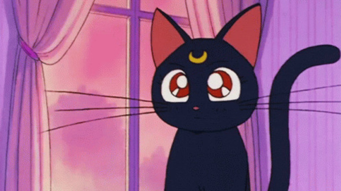 Why are cats such cute characters?