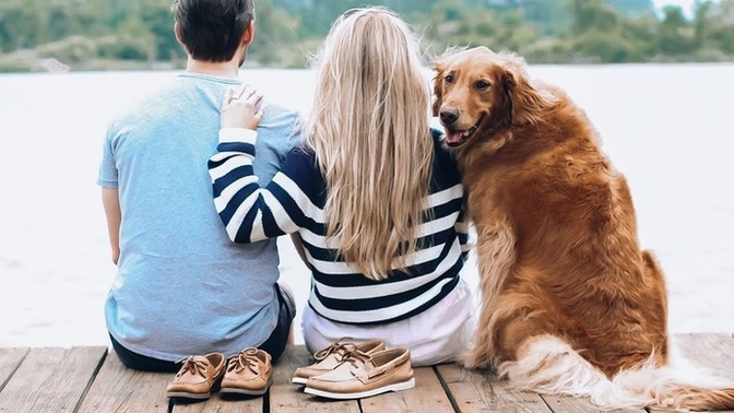 How Crucial Is It That Your boyfriend or girlfriend Like Your Pets?