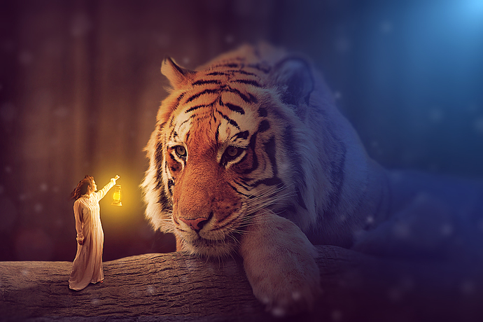 Why are so many Hollywood actors born the year of the Tiger?