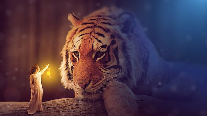Why are so many Hollywood actors born the year of the Tiger?