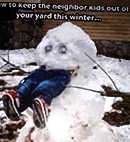 Why did this snow man attack?