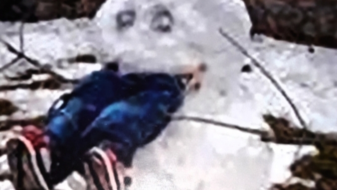 Why did this snow man attack?