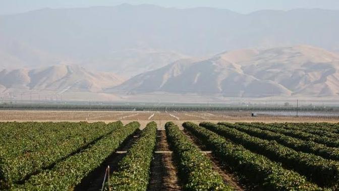 Are there any type of Agricultural Courses?