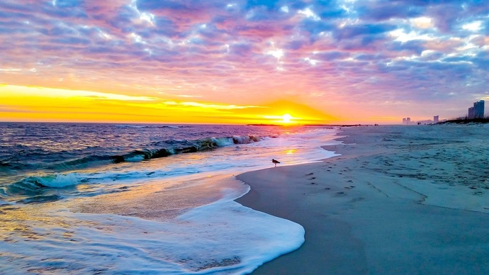 Do You Like The Beach?
