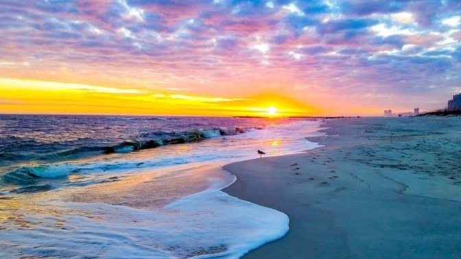 Do You Like The Beach?