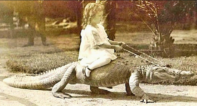 Why dont kids ride crocodiles any more?
