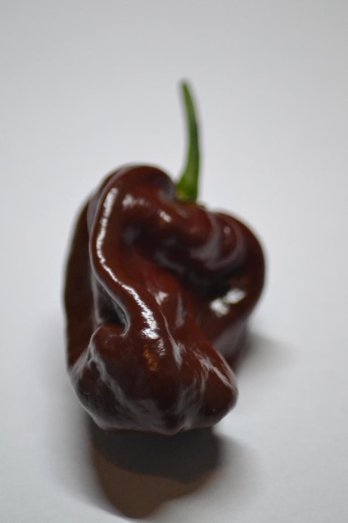 What food best describes your body shape?