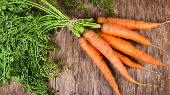 What food best describes your body shape?