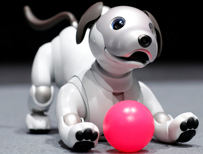 We All Love Our Four Legged Friends & If The Price Was Right Would You Buy A Robotic Dog?