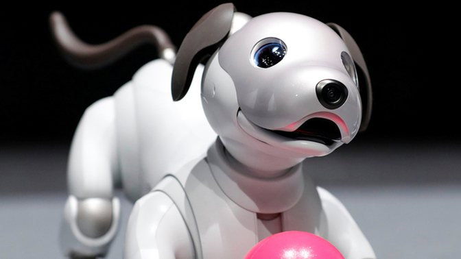 We All Love Our Four Legged Friends & If The Price Was Right Would You Buy A Robotic Dog?