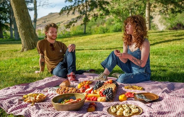 Have you ever gone on a picnic?