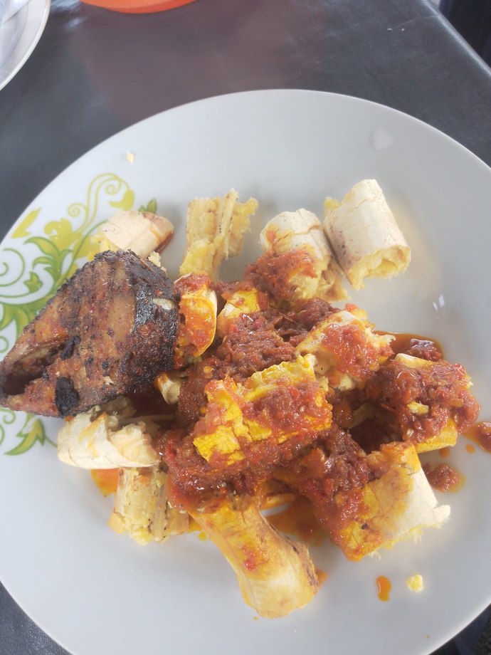 Do you like my special lunch?