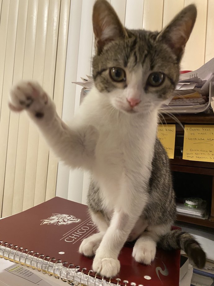 We haven’t decided on an official name for her yet, but I nicknamed her Papaya 