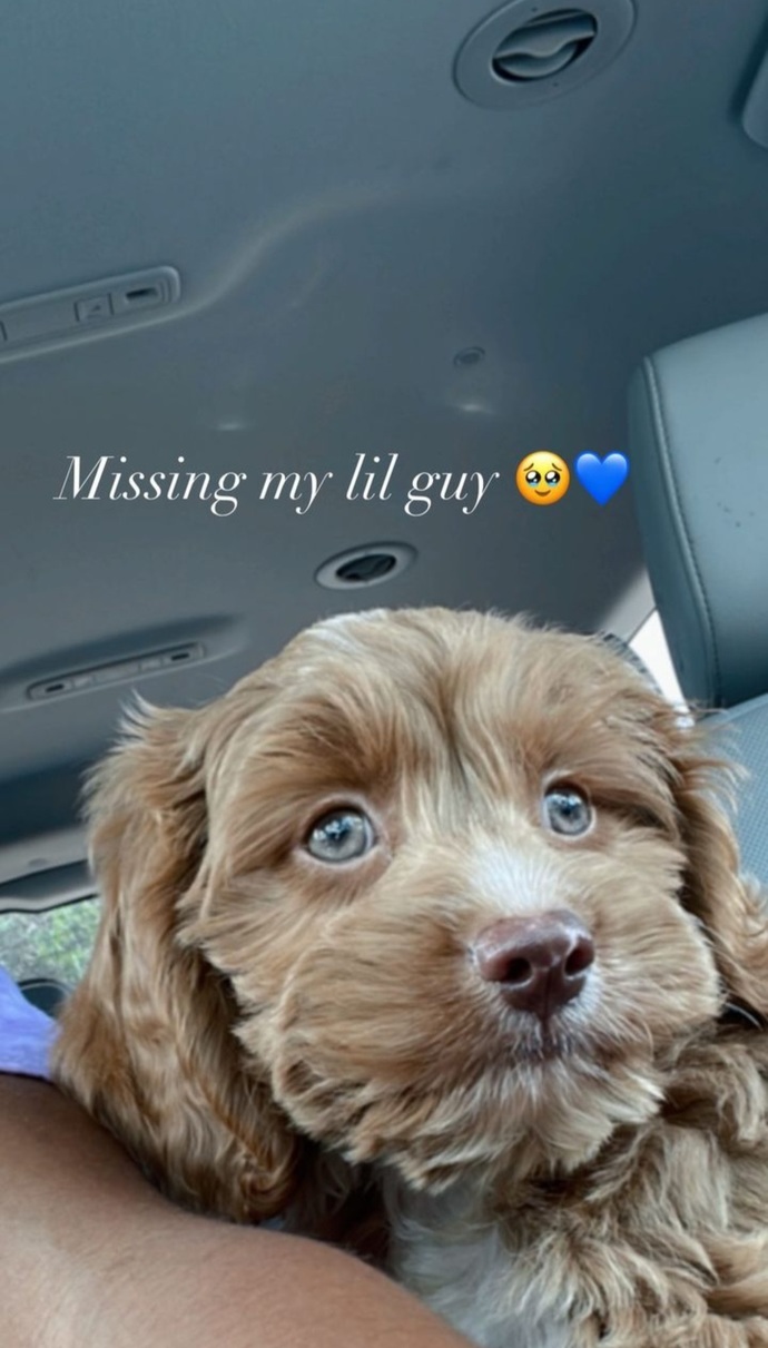 Are you missing anyone rn?