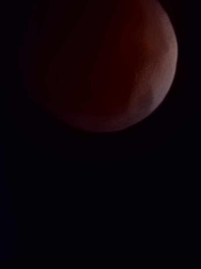 Did anyone else get to see the Blood Moon total eclipse?