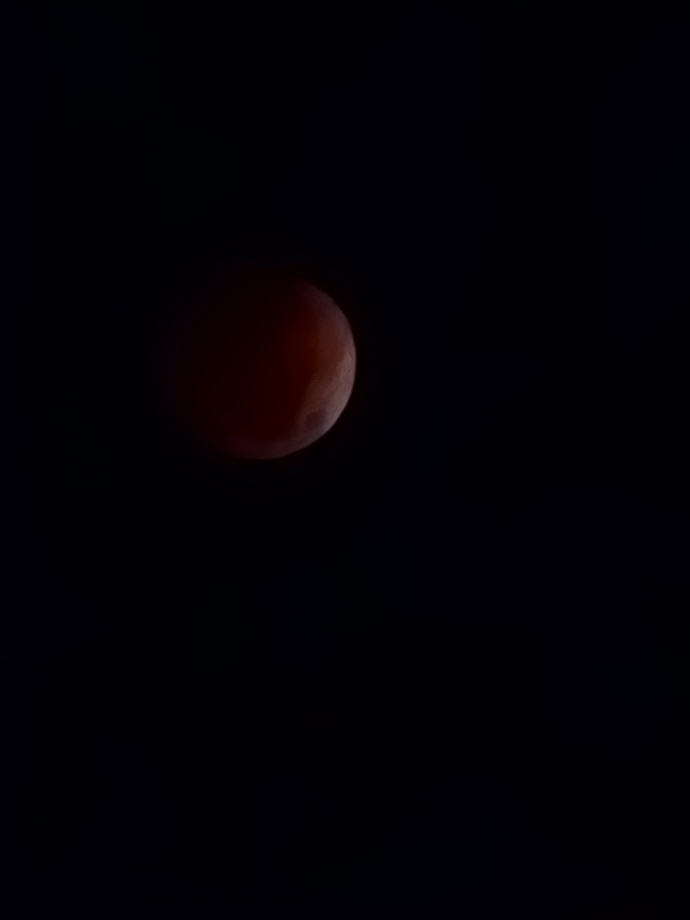 Did anyone else get to see the Blood Moon total eclipse?