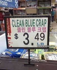 Do spelling mistakes annoy you?
