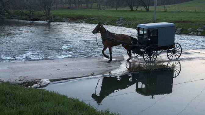 Should Amish people be allowed to vote?