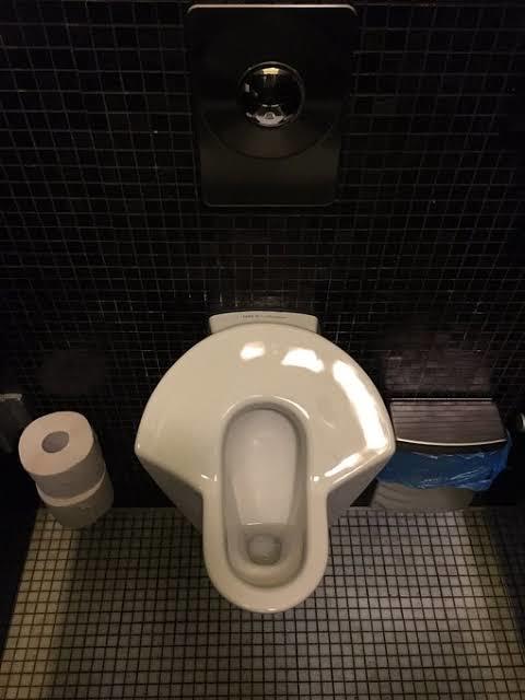 What do you think of women's urinals?