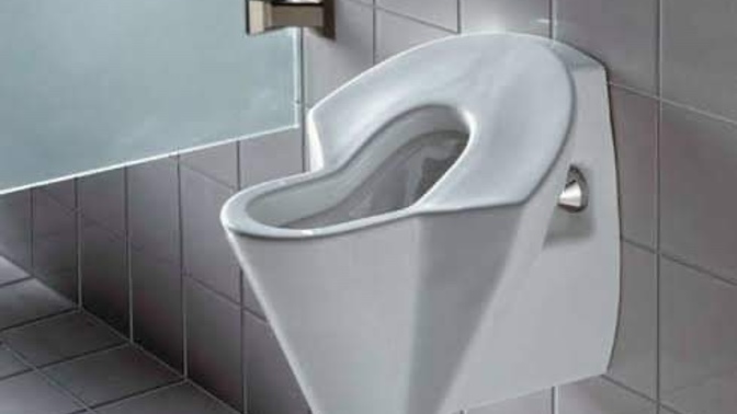 What do you think of women's urinals?
