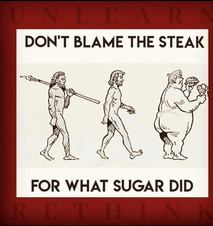 Veganazi. Do you believe sugar is responsible for obesity?