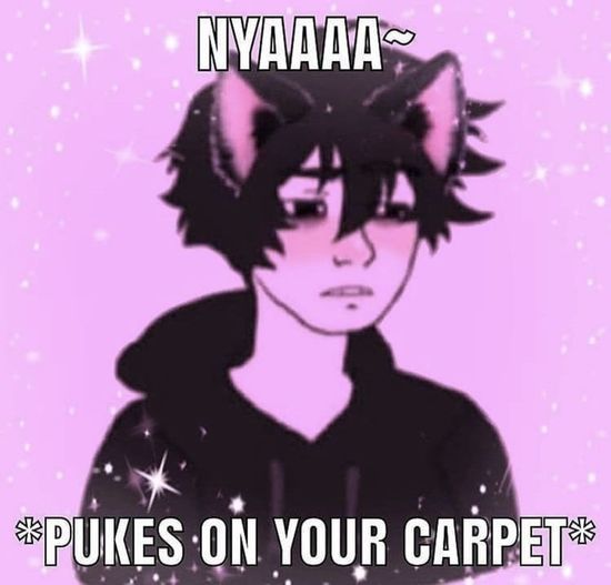 What’s everyone’s opinions on catboys/girls?
