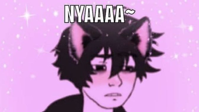 What’s everyone’s opinions on catboys/girls?