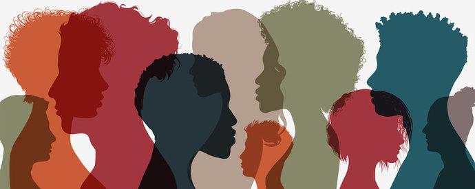 What different cultures are you interested in learning about?