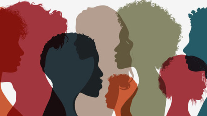 What different cultures are you interested in learning about?