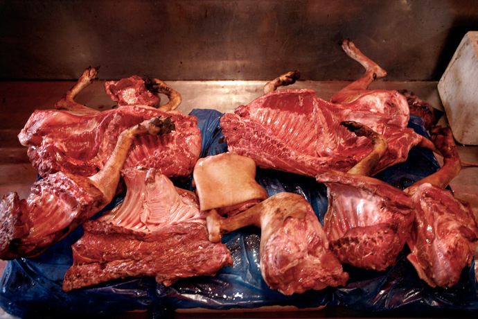 Dog meat