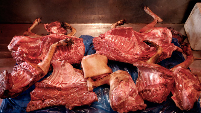 Do you eat dog meat?