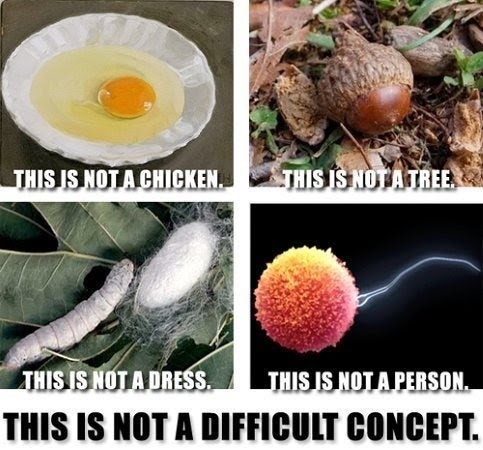 Can you support abortion and also believe that the fetus is alive?