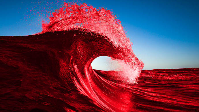 Why do you think the predicted Republican red wave never happened?