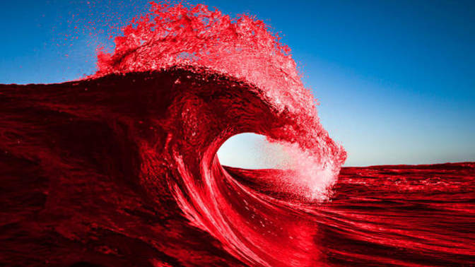 Why do you think the predicted Republican red wave never happened?