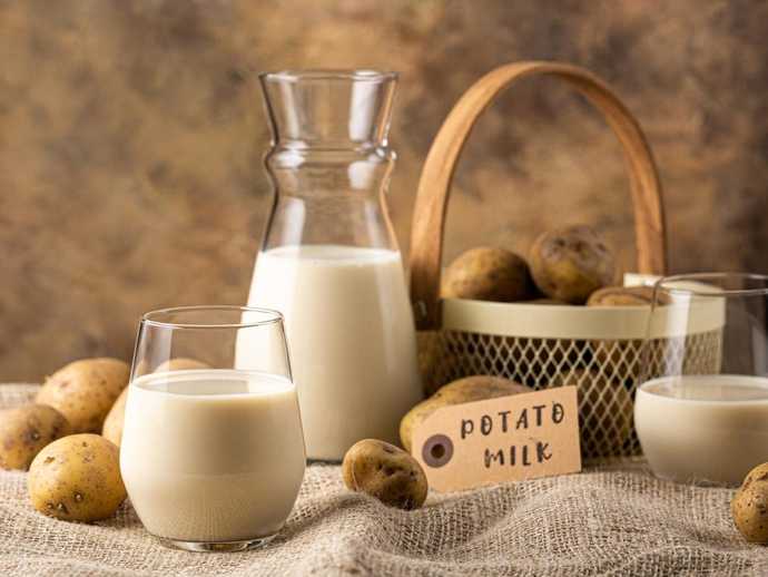 What type of milk do you prefer to drink?