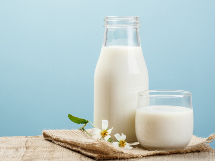 What type of milk do you prefer to drink?