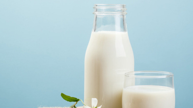What type of milk do you prefer to drink?