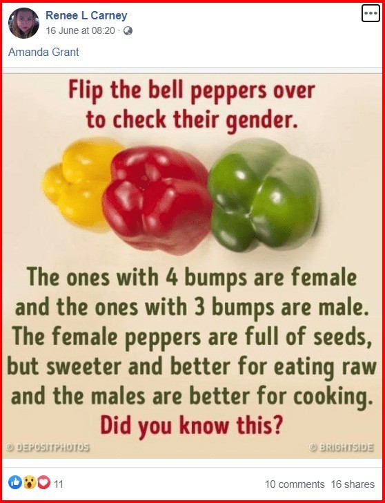 Which is better the gender unicorn or the genderbread person? Sexuality