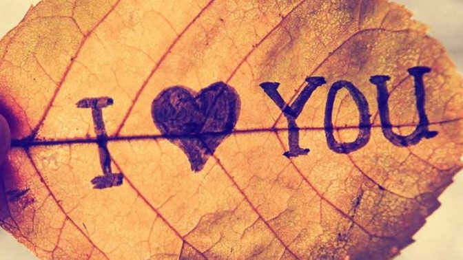 How often do you say “I love you” to your partner?