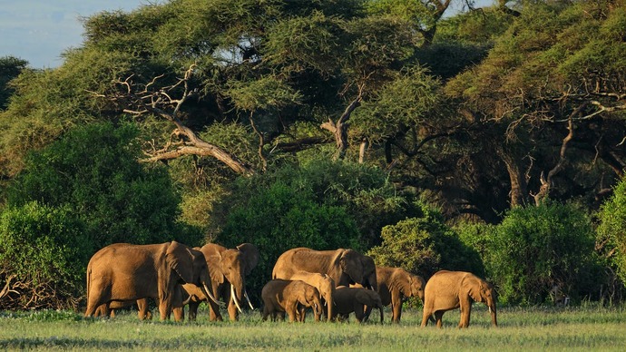 SOUTH SUDAN