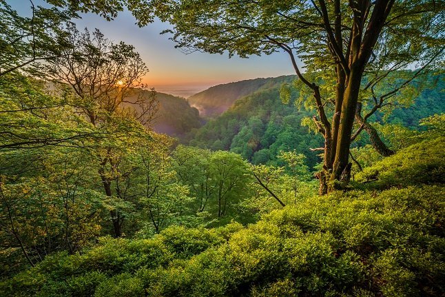 The most beautiful places in the world with the most amazing nature and wildlife in them are usually the worst places politically. Agree or Disagree?